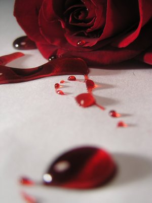 rosa sangre