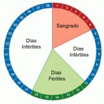 ciclo-menstrual