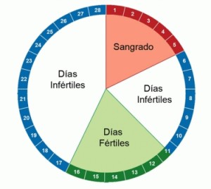 ciclo-menstrual