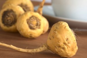 La maca: un suplemento natural excelente para mejorar la fertilidad